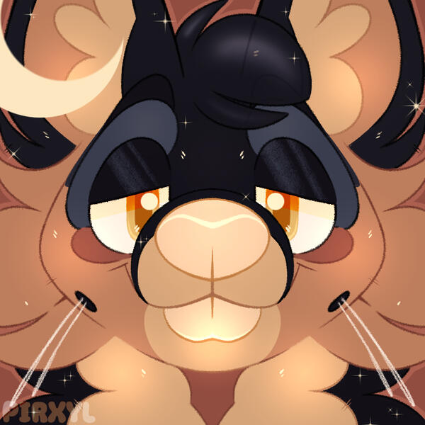 Koazy icon Koazy icon